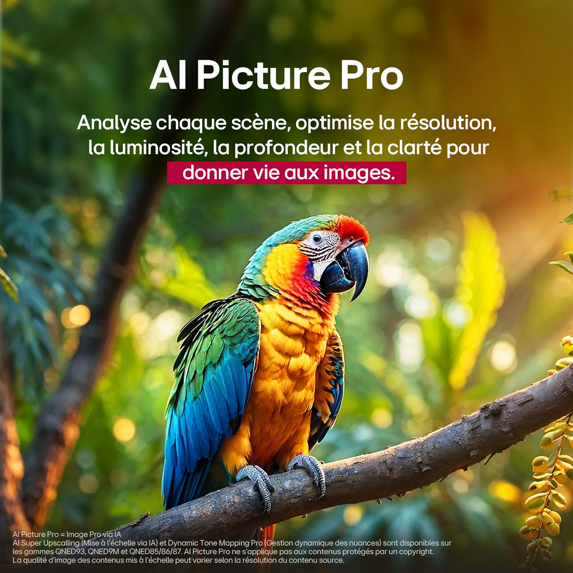 Téléviseur Mini-LED LG 55QNED86A 2025 – 55″ (139 cm) – Image 9